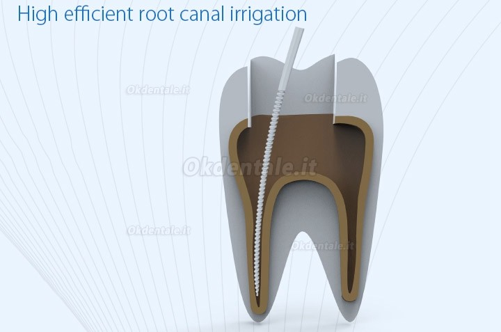 Refine MaxPiezo6+/6 ablatore ad ultrasuoni irrigatore per canale radicolare EMS compatibile